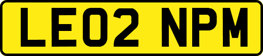 LE02NPM