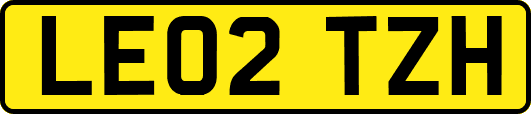 LE02TZH