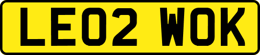 LE02WOK