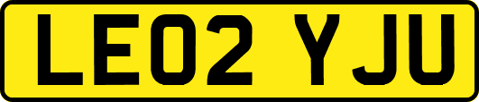 LE02YJU