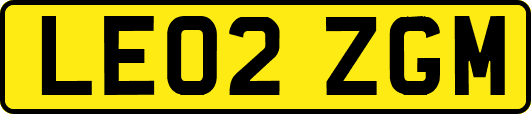 LE02ZGM