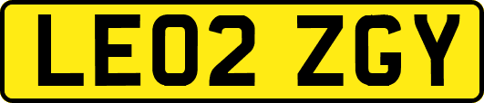 LE02ZGY