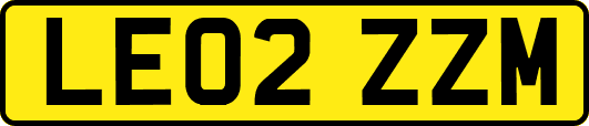 LE02ZZM