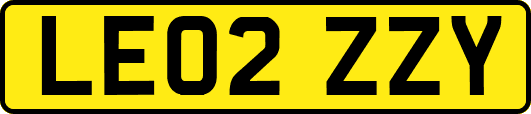 LE02ZZY