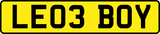 LE03BOY