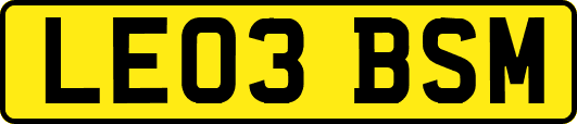 LE03BSM