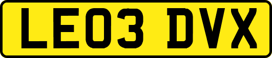 LE03DVX