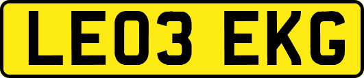 LE03EKG