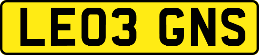 LE03GNS