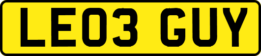 LE03GUY