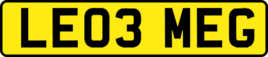 LE03MEG