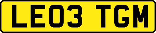 LE03TGM