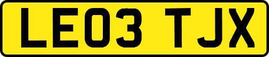 LE03TJX