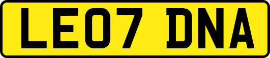 LE07DNA