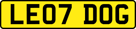 LE07DOG