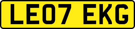 LE07EKG
