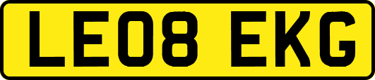 LE08EKG