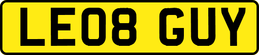 LE08GUY