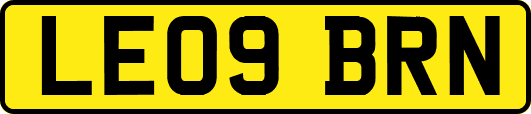 LE09BRN