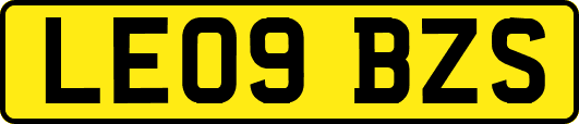 LE09BZS
