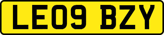 LE09BZY