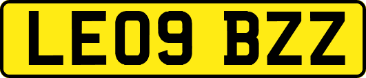 LE09BZZ