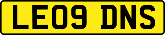 LE09DNS
