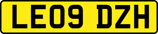 LE09DZH