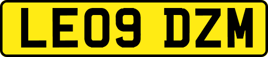 LE09DZM