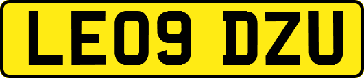 LE09DZU