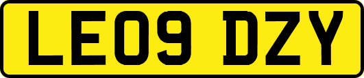 LE09DZY
