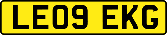 LE09EKG
