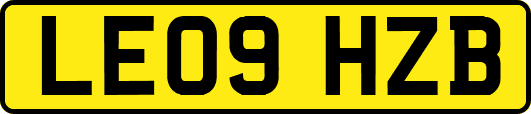 LE09HZB