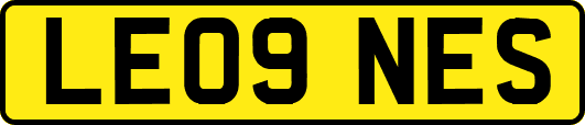 LE09NES