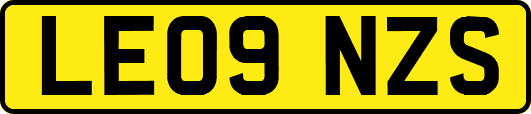 LE09NZS