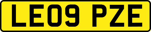 LE09PZE