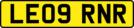 LE09RNR