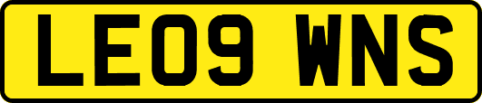 LE09WNS
