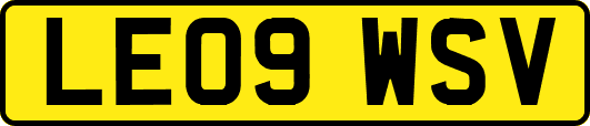 LE09WSV