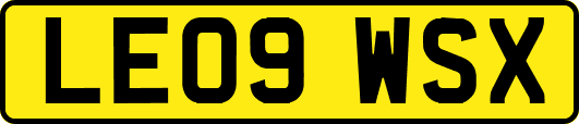 LE09WSX