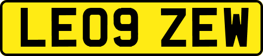 LE09ZEW