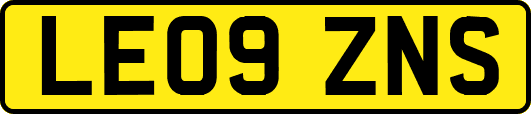 LE09ZNS