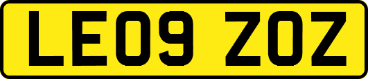 LE09ZOZ