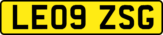 LE09ZSG