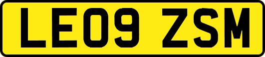 LE09ZSM