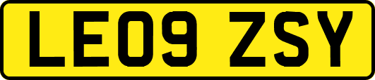 LE09ZSY