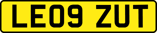 LE09ZUT
