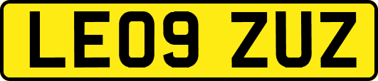 LE09ZUZ