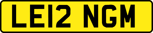 LE12NGM