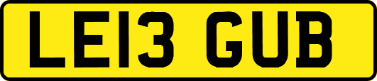 LE13GUB